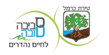 עיריית טירת כרמל